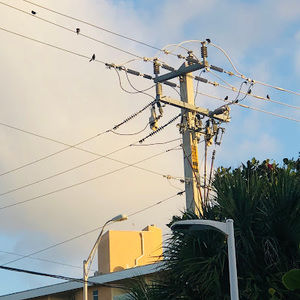 Meet your Posher, Malia